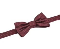 Noeud Papillon Soie Micro Pois Bordeaux Et Bleu Ciel -Boutique Pop Mey Edlich 0101605f noeudpapillonsoiemicropois bordeaux et bleu ciel 4