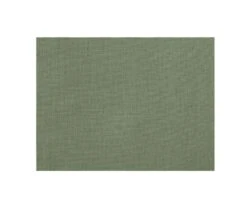 Chemise Coton Lin Vert Sauge - SILBERT 15 Chemise Coton Lin Vert Sauge - SILBERT -Boutique Pop Mey Edlich 0140109t silbert vert sauge 7bis