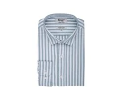 Chemise Coton Lin Rayée Verte Et Blanche - SIMONIN 12 Chemise Coton Lin Rayée Verte Et Blanche - SIMONIN -Boutique Pop Mey Edlich 015270cw simonin vert et blanc 4 bis